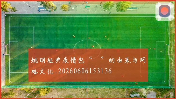 姚明经典表情包“囧”的由来与网络文化_20260606153136