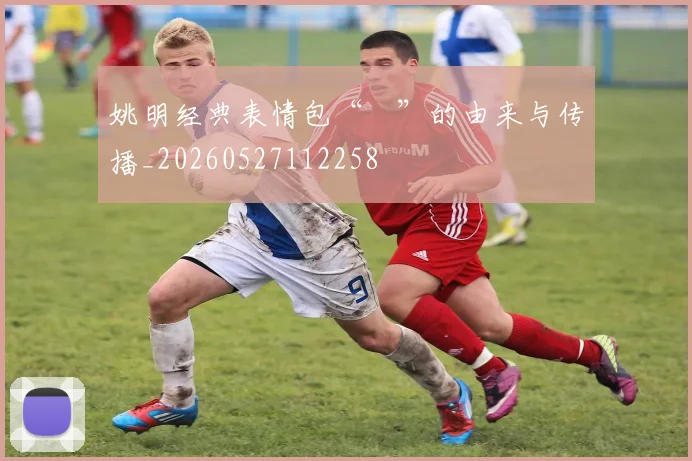 姚明经典表情包“囧”的由来与传播_20260527112258